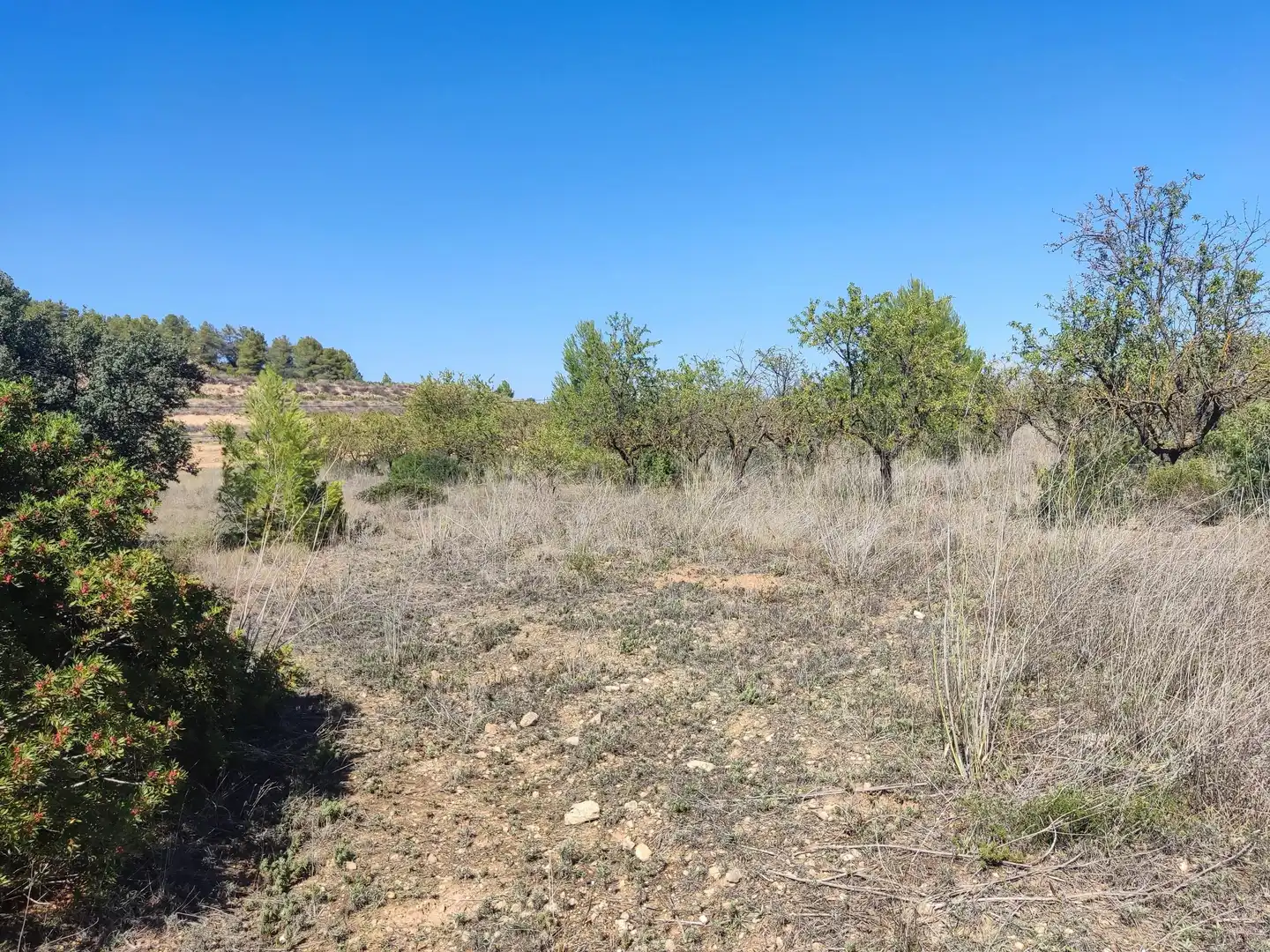 Rural land for sale in Horta de Sant Joan, imagen 12