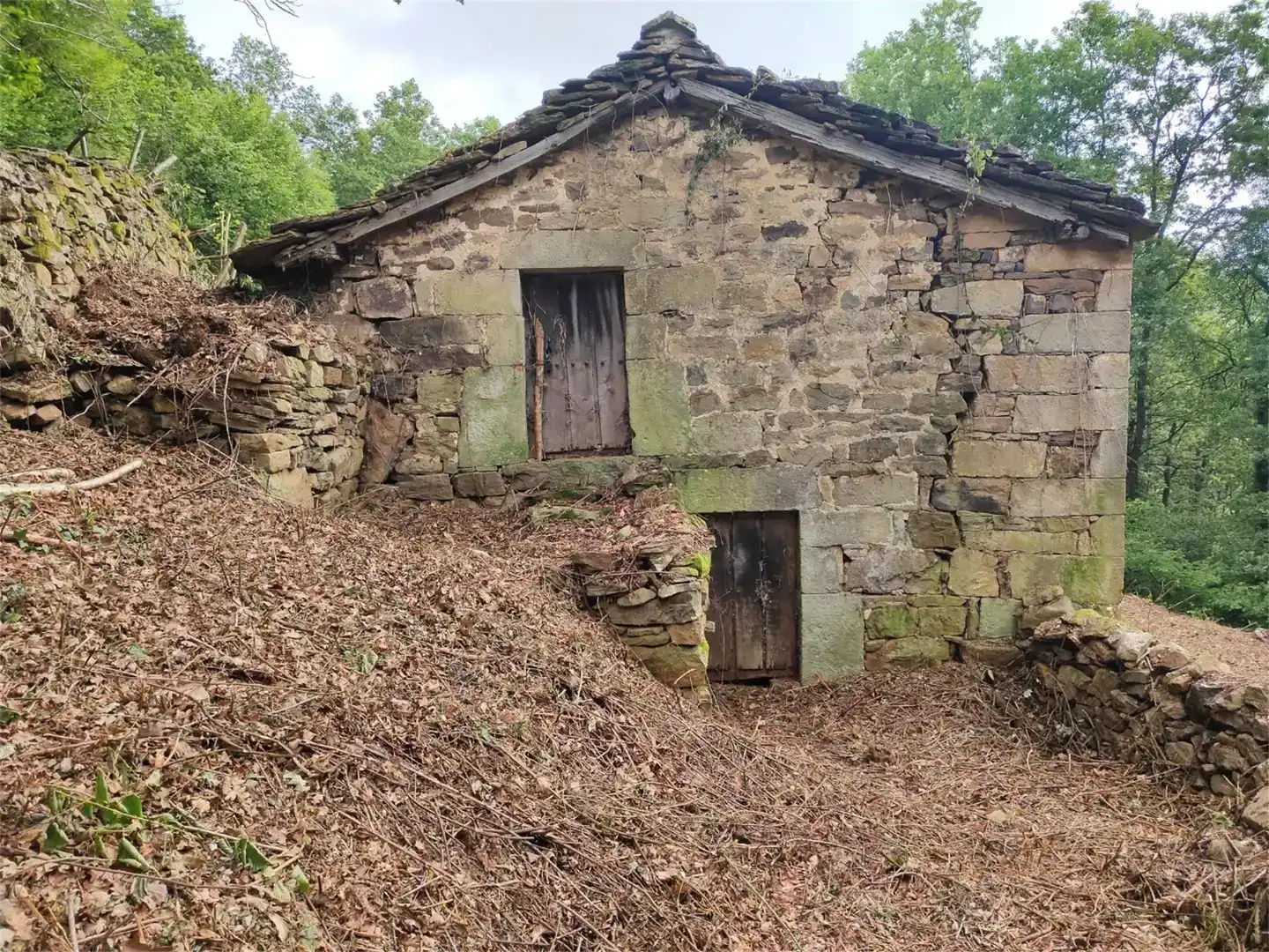 Vista exterior de Finca rústica en venda en San Pedro del Romeral