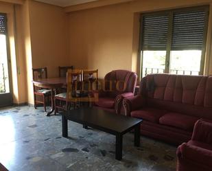 Sala d'estar de Pis de lloguer en Salamanca Capital amb Calefacció, Moblat i Balcó