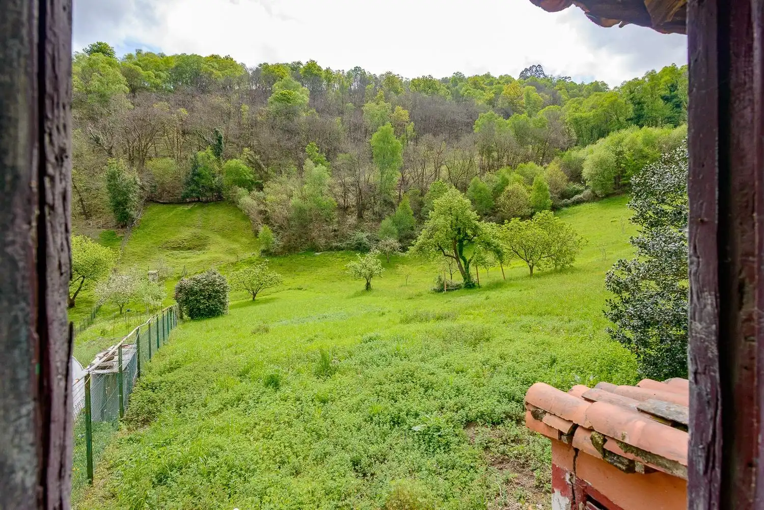 Garden of Land for sale in Mieres (Asturias)