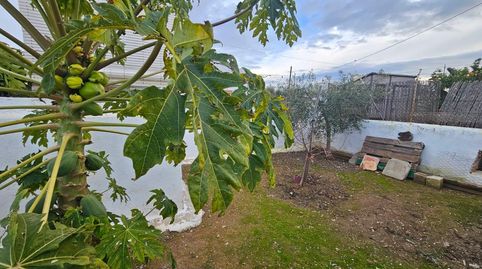 Photo 3 of Premises for sale in La Pinilla - Las Palas, Fuente Álamo de Murcia