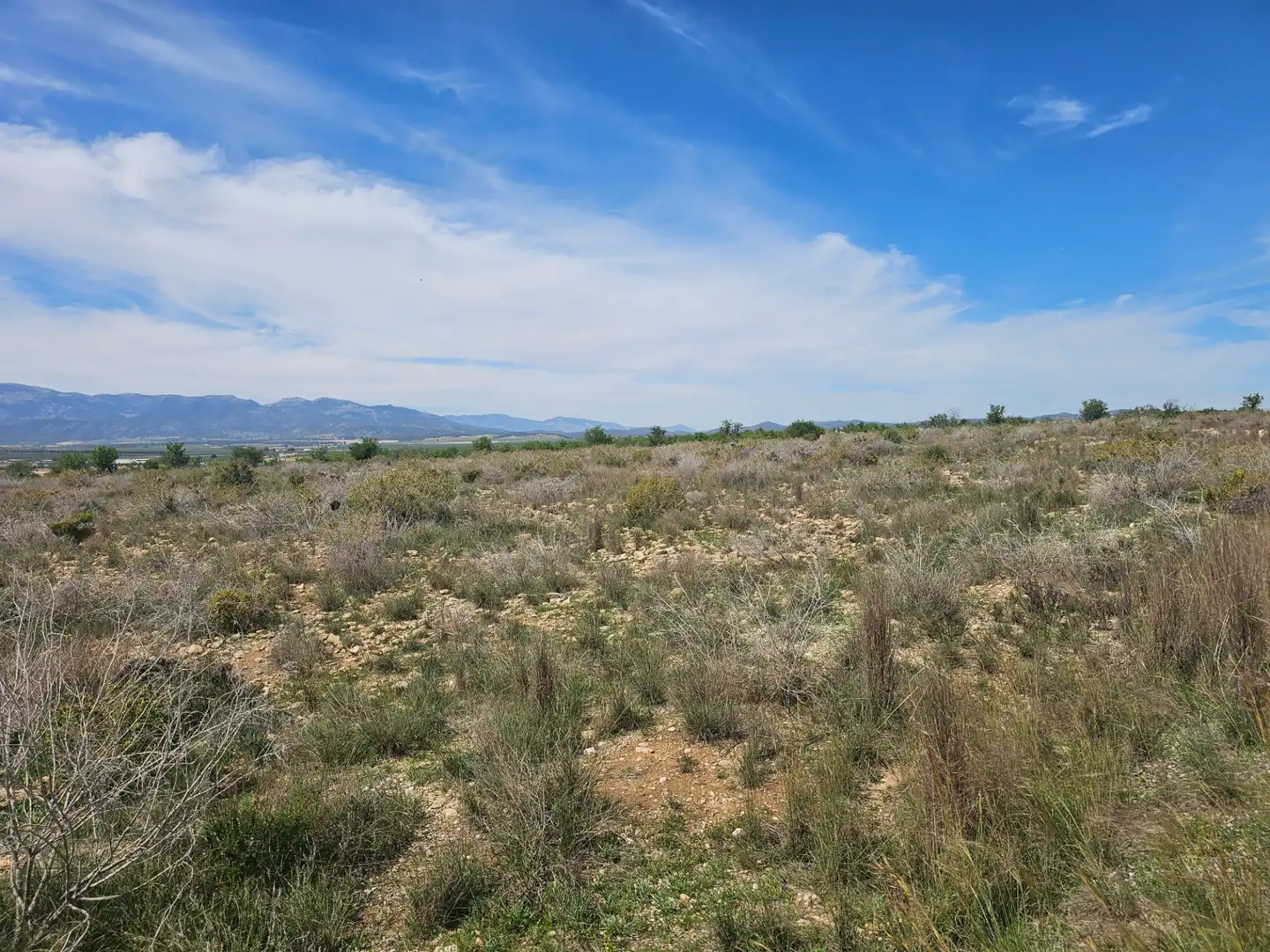 Lands and plots for sale in Mula, imagen 9
