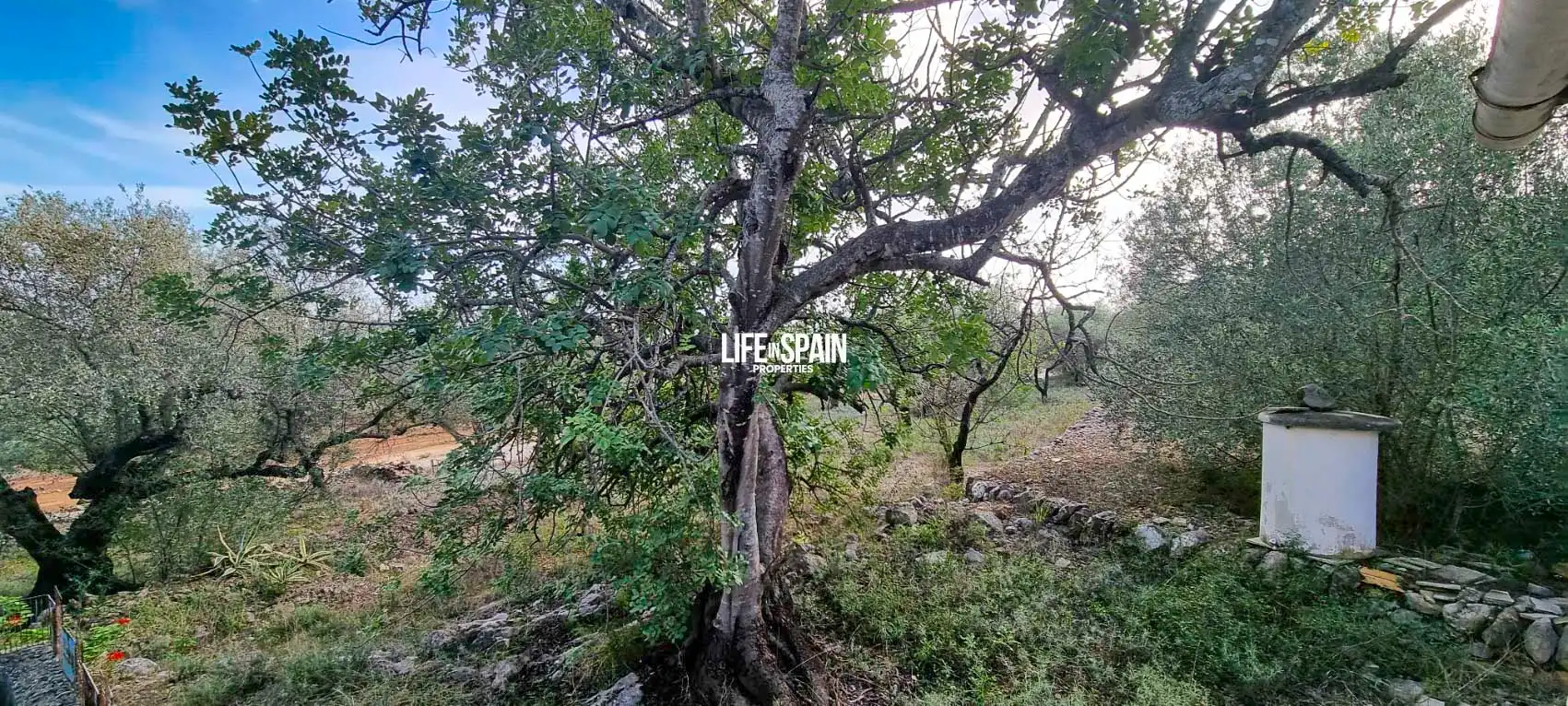 Finca rústica en venda en Roquetes amb Jardí privat i Piscina