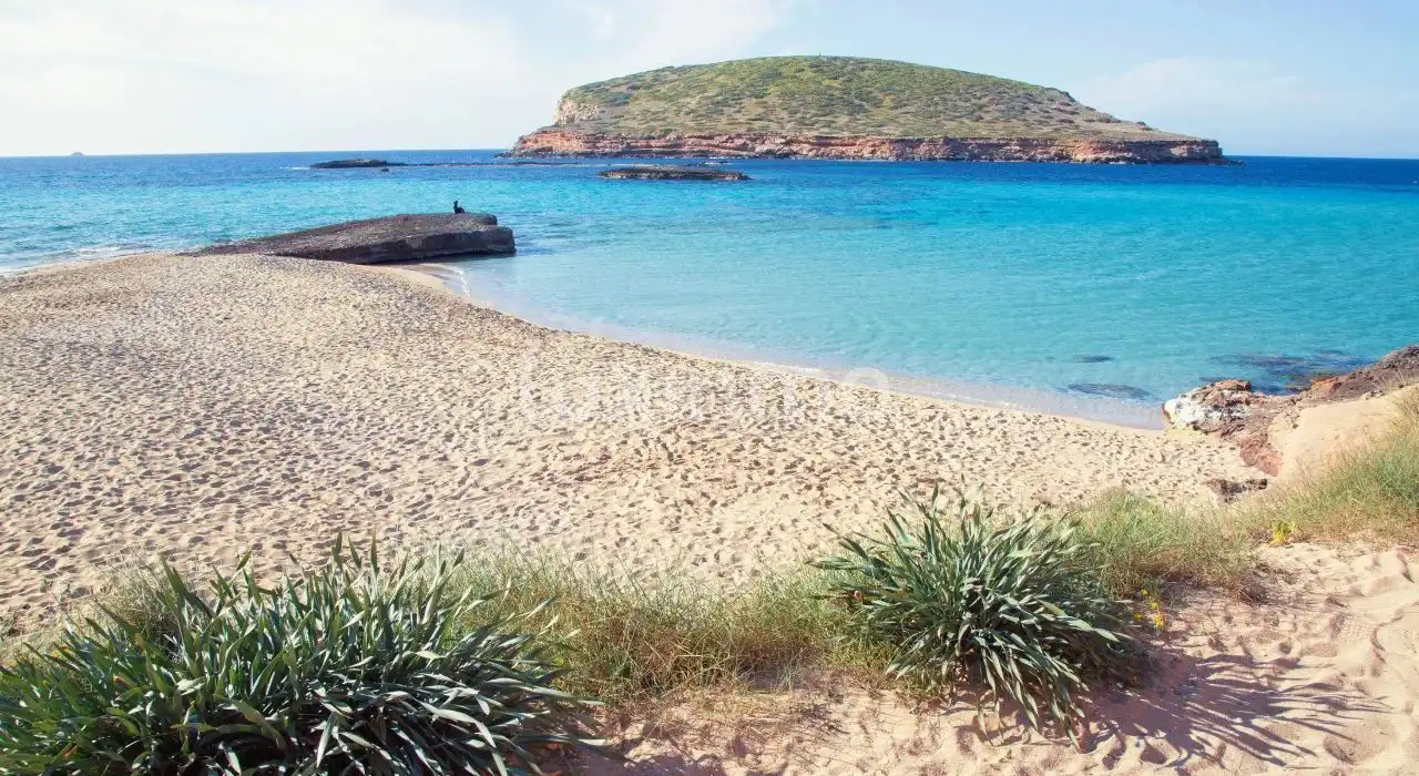 Xalet amb jardí en venda a Santa Eulària, imagen 46