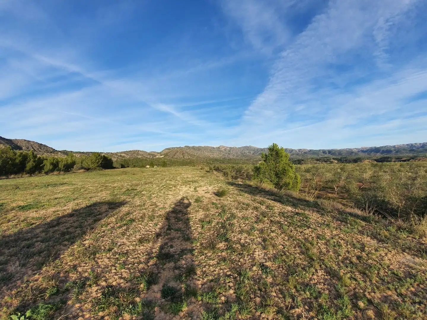 Terrain résidentiel à vendre à Xerta, imagen 29