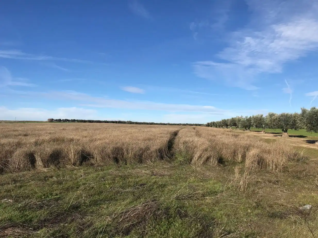 Terrenys i solars en venda a VALDELAVILLA