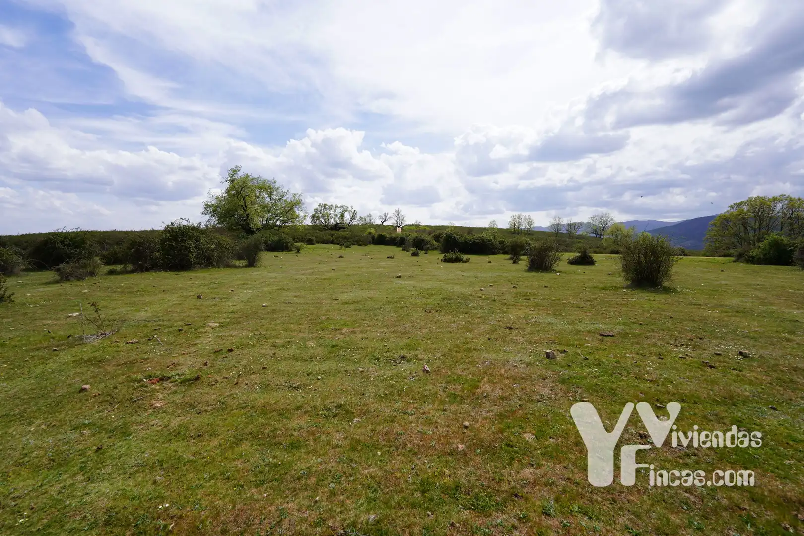 Terreno rústico en venta en Campillo de Ranas