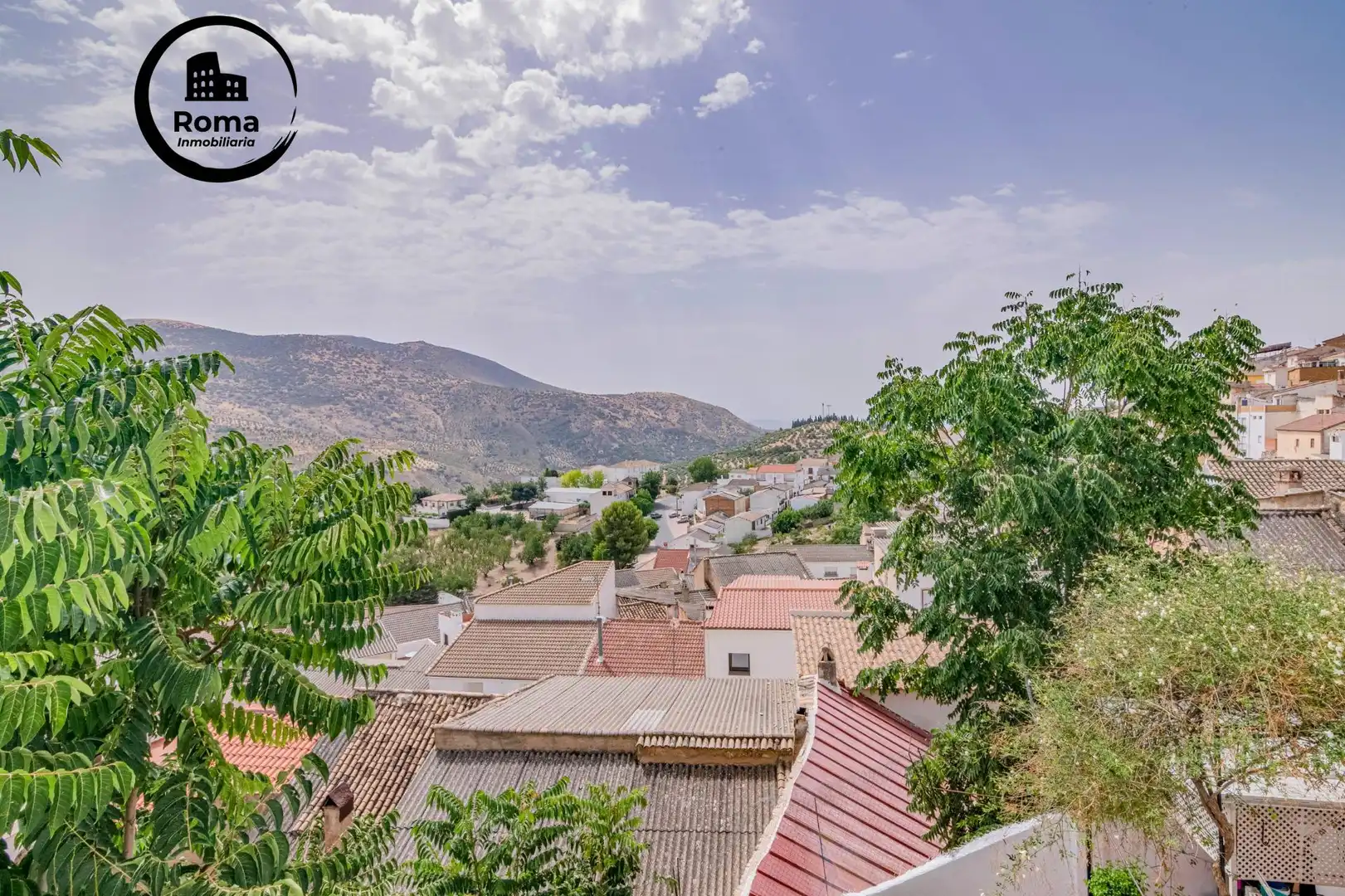 Vista exterior de Casa o chalet en venta en Colomera con Terraza y Amueblado