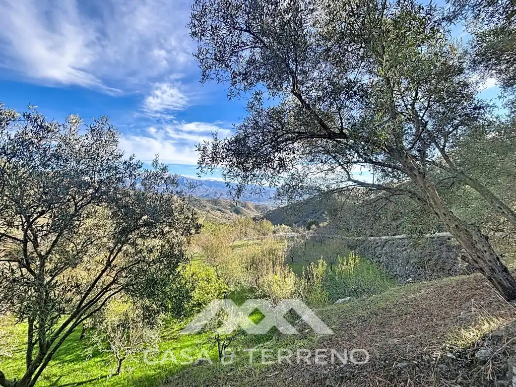 Vista exterior de Casa o chalet en venta en Macharaviaya con Aire acondicionado, Jardín privado y Terraza