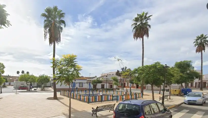 Terreni e lotti in vendita a Viejo De Sevilla, imagen 2
