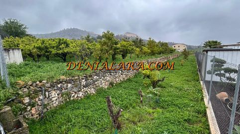 Terreno rustico de 1000m en Pego