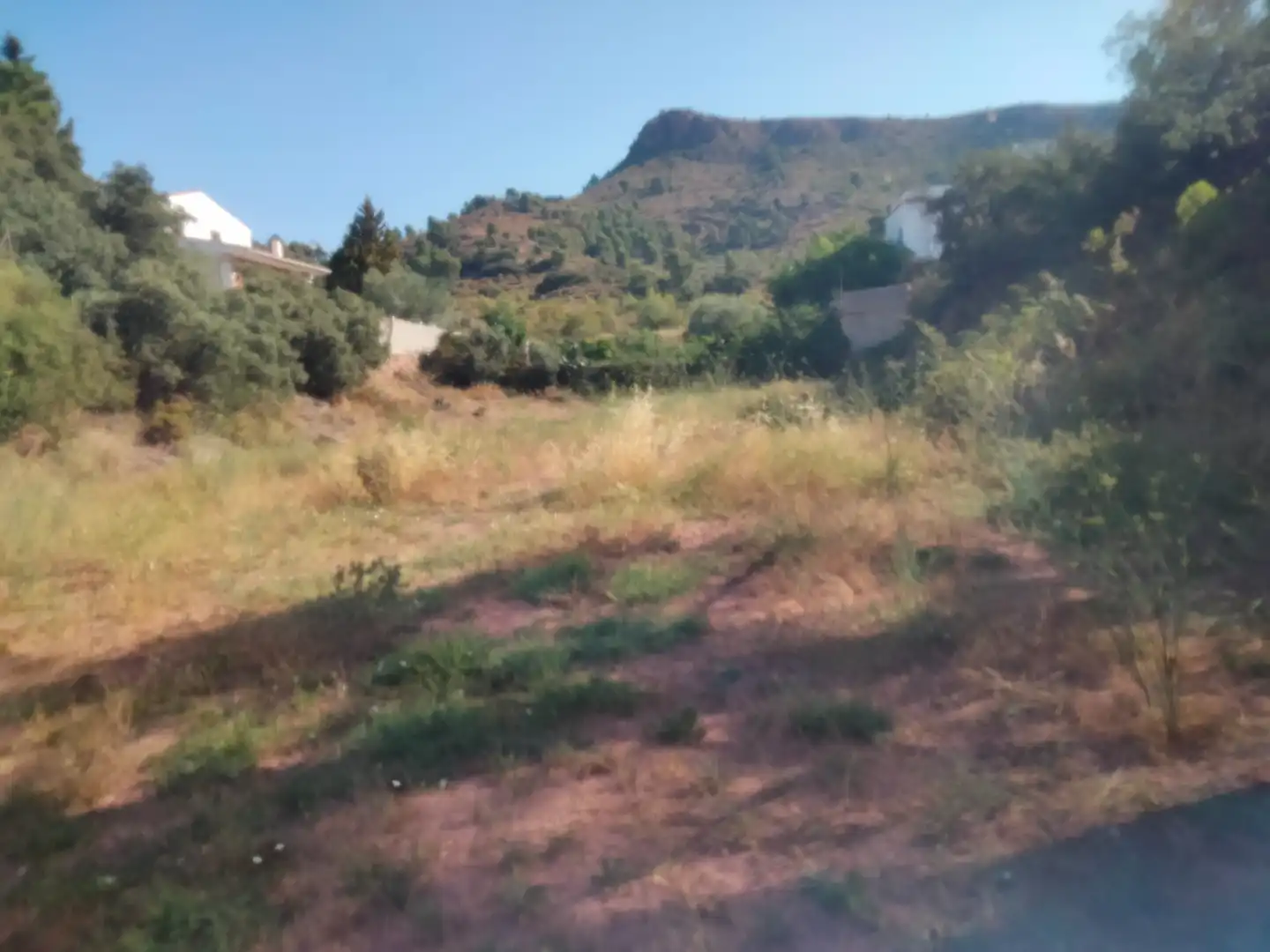 Rural land for sale in Gátova