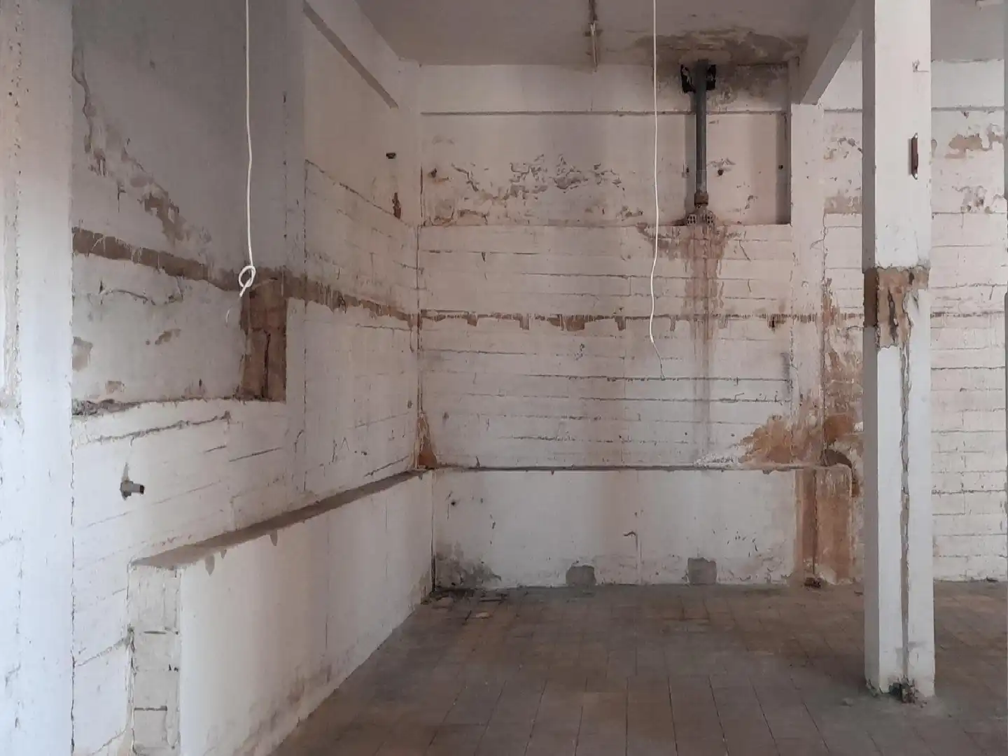 Local comercial en venta en Los Castros, imagen 5