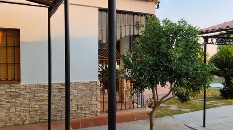 Chalet Independiente en Carmona, imagen 3