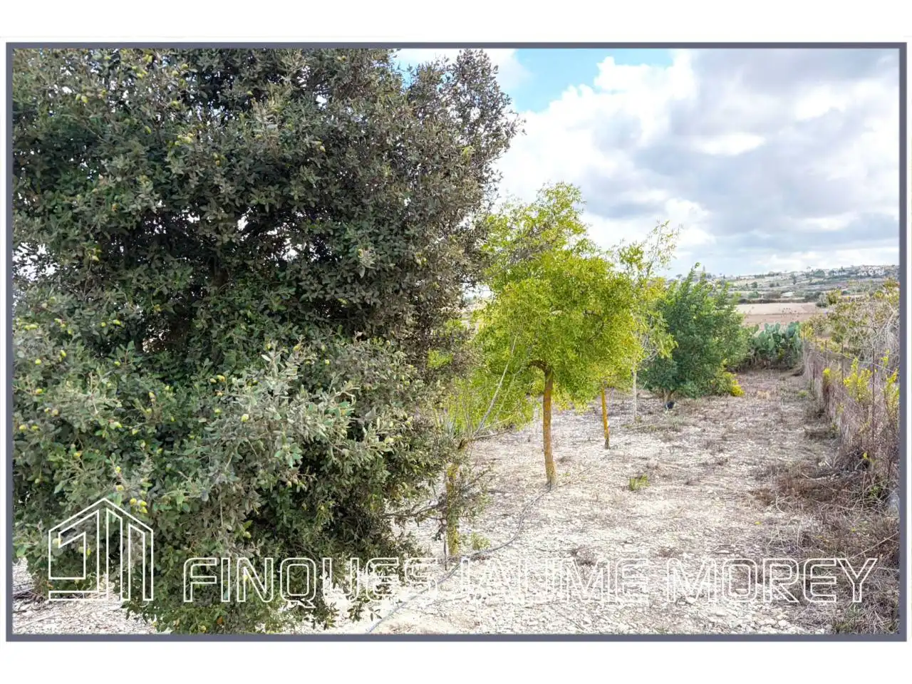 Finca rústica en venta en Maria de la Salut con Jardín privado