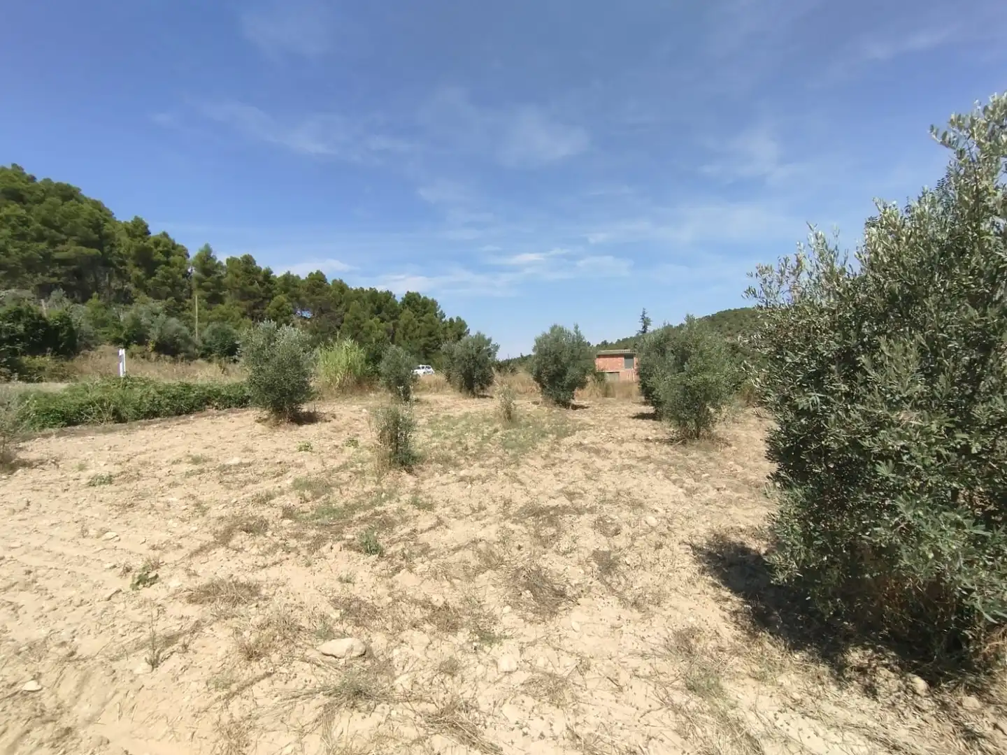 Terreni e lotti in vendita a Valderrobres, imagen 4