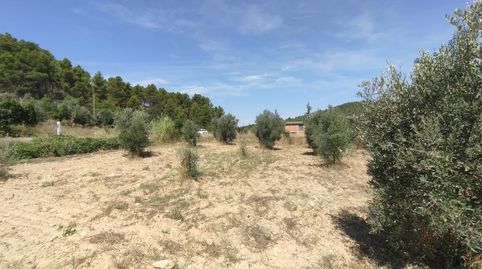 Finca rústica con maset, immagine 4