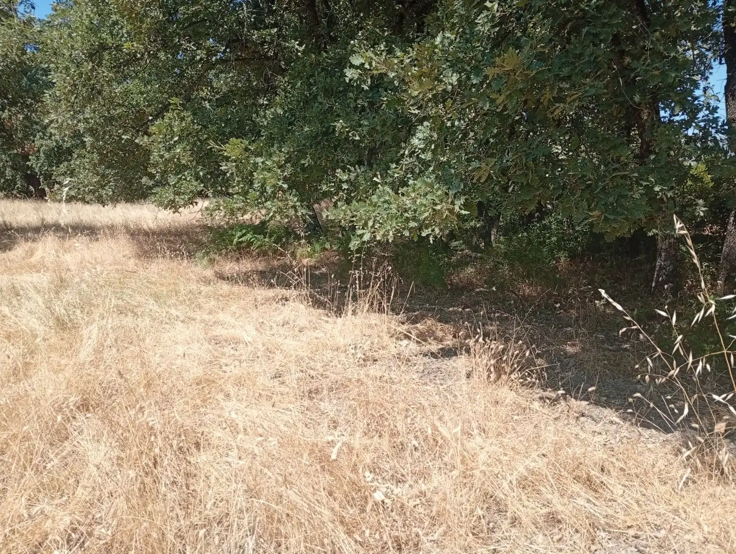 Terreni e lotti in vendita a Villanueva de la Vera, imagen 34