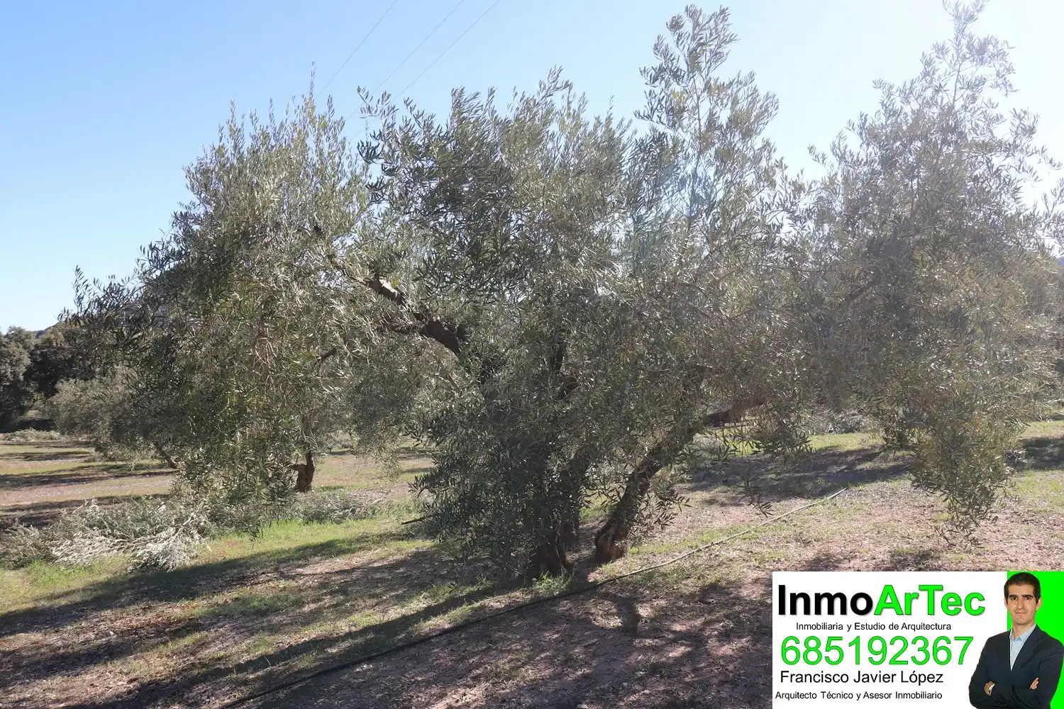 Finca rústica en venta en Íllora con Jardín privado y Terraza