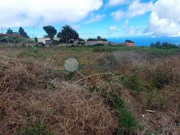 Terrenos y solares en venta en Hornaca