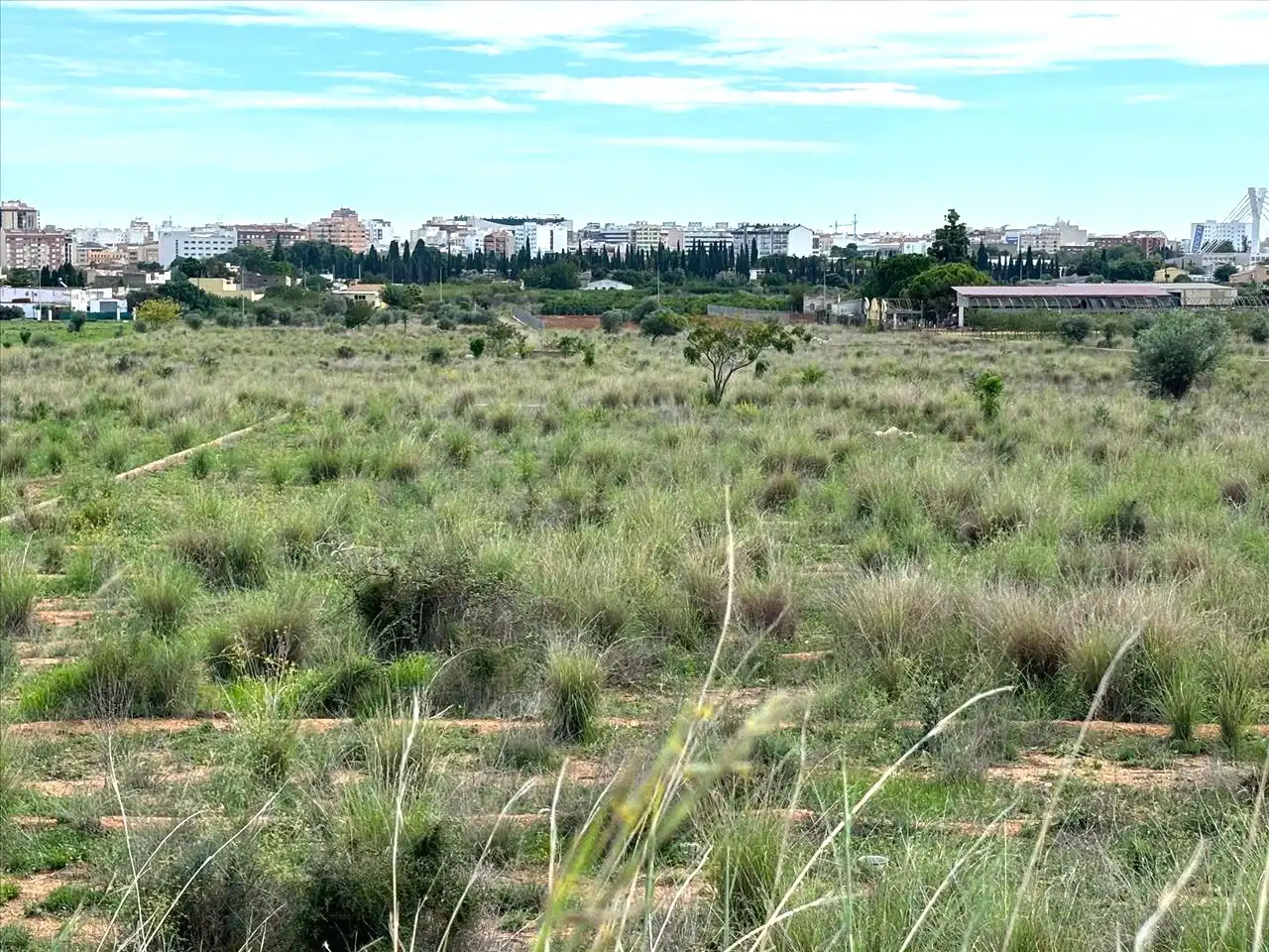 Terreno residenziale in vendita a Partida Mestrets, imagen 8