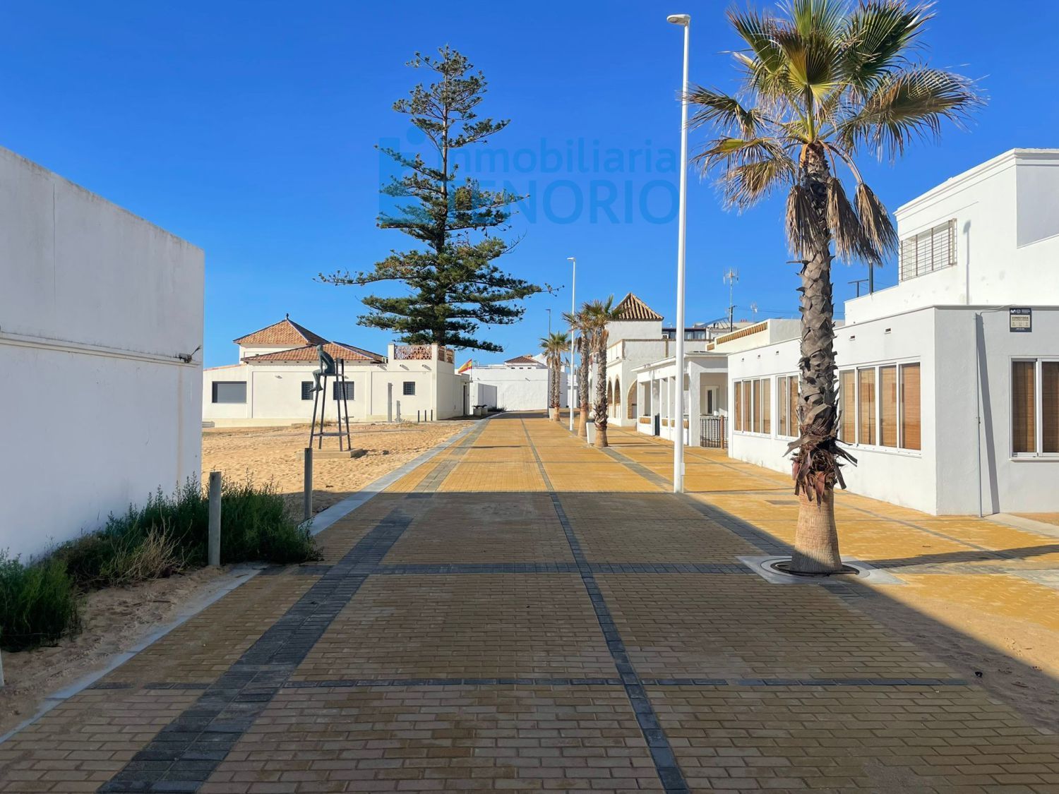 Vista exterior de Casa o chalet en venta en La Antilla con Terraza