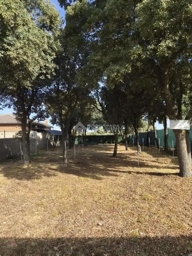 Terrain résidentiel à vendre à Trijueque, imagen 2