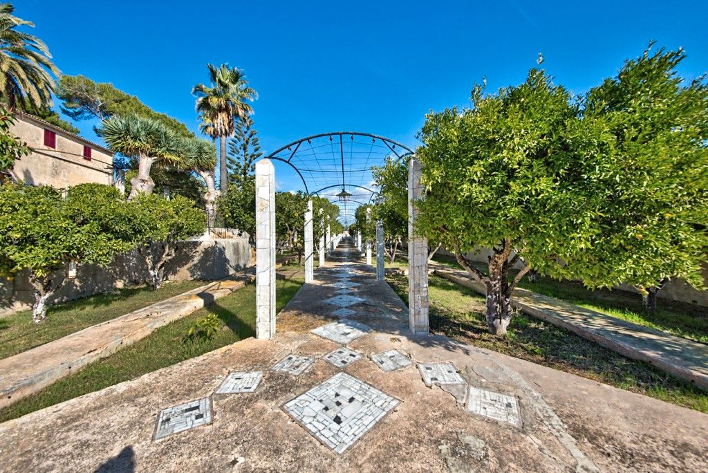 Garden of Country house for sale in Montuïri