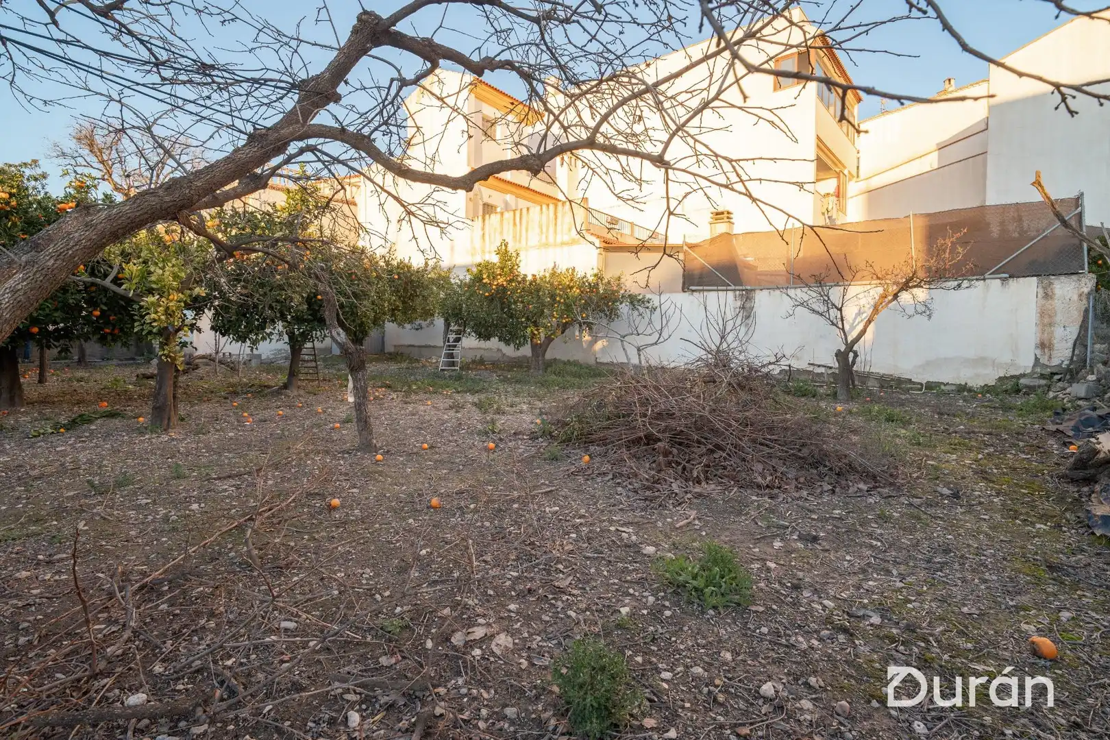 Finca rústica en venda en Alcolea amb Aire condicionat, Jardí privat i Traster