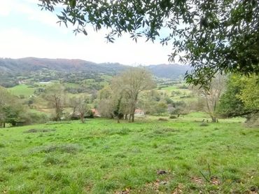 Terrain résidentiel à vendre à Grado