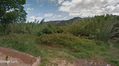 HUERTA PARA CONSUMO PROPIO., imagen 5