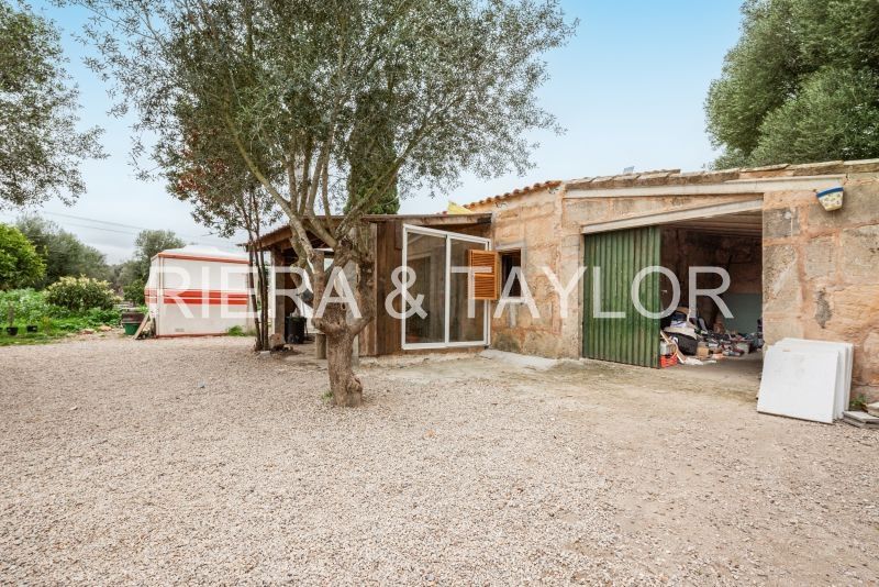 Exterior view of Country house for sale in Petra
