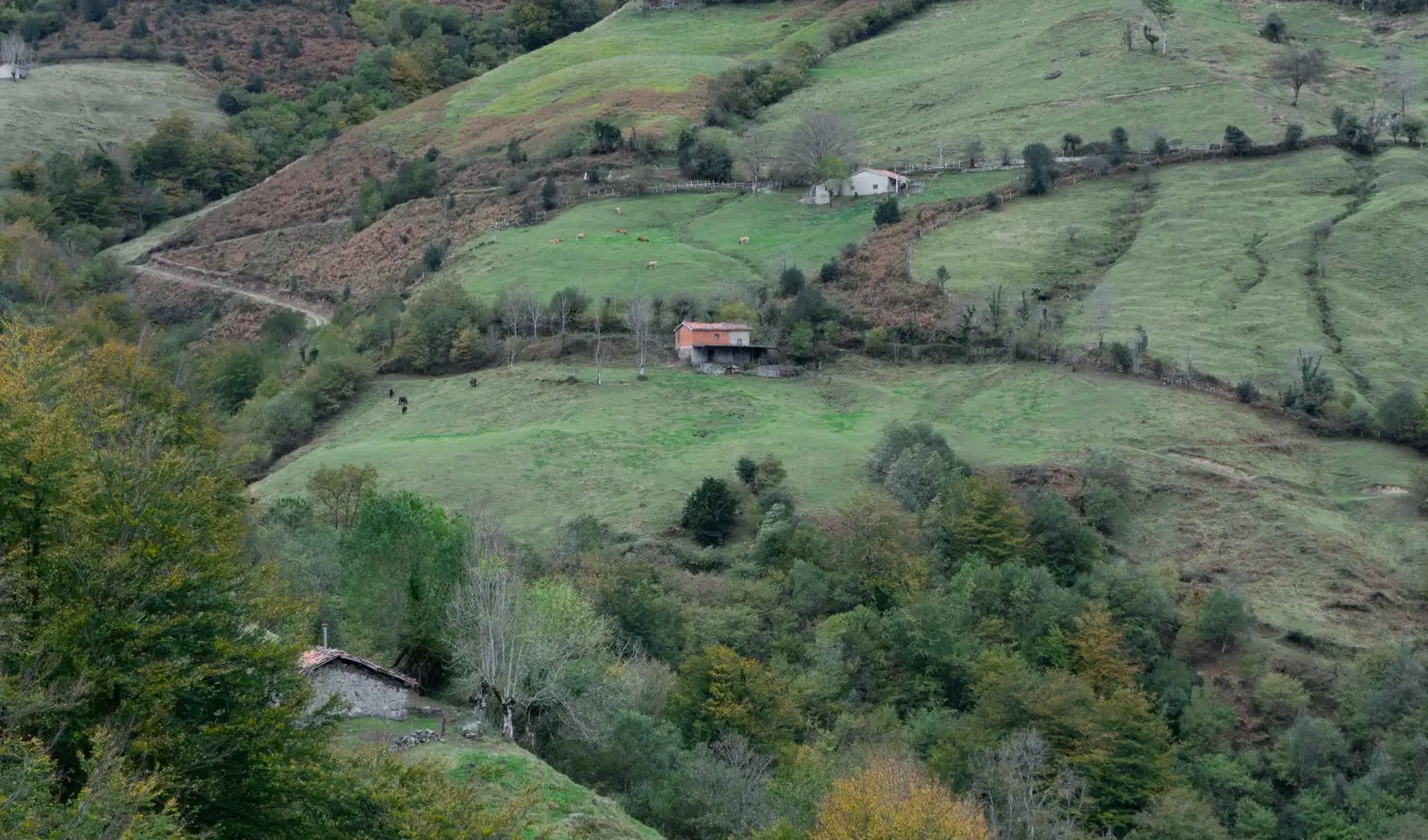 Außenansicht von Grundstücke zum Verkauf in Laviana