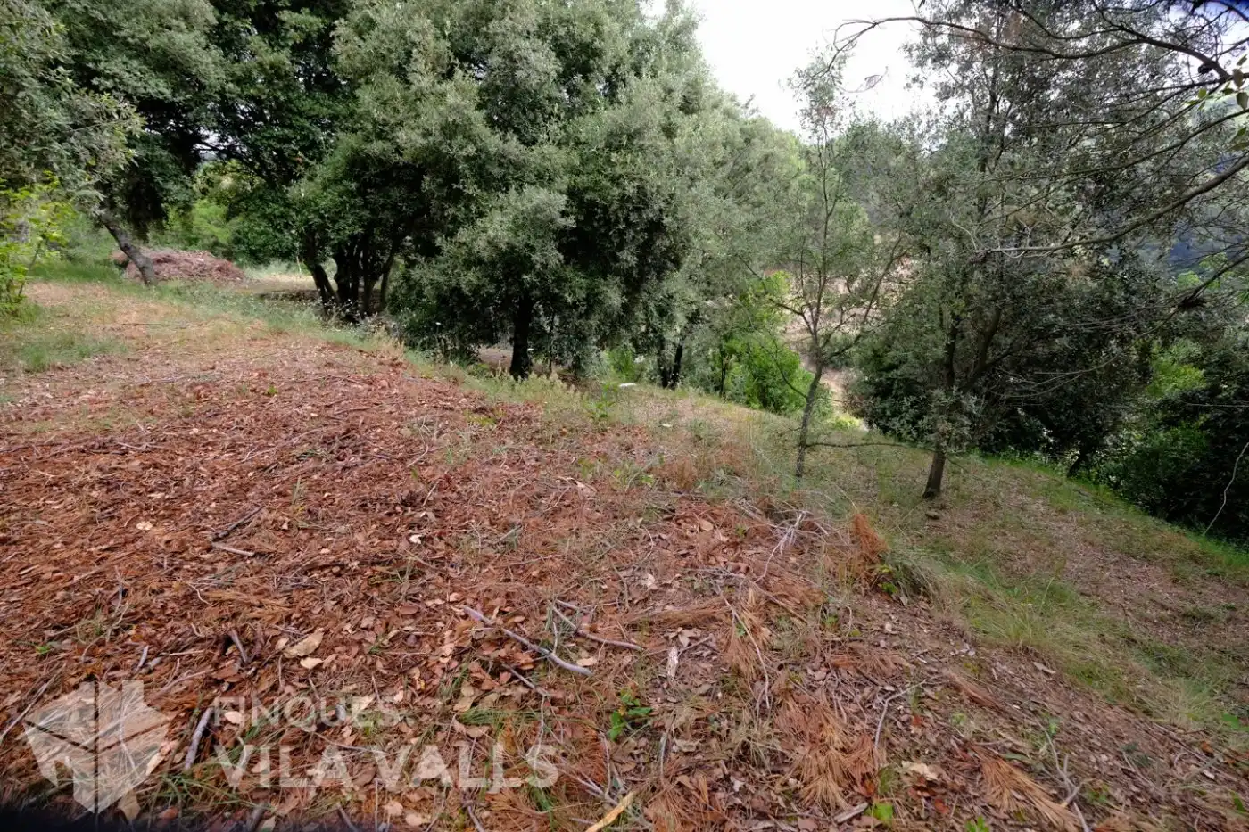 Terrenys i solars en venda a vinyetes, imagen 5