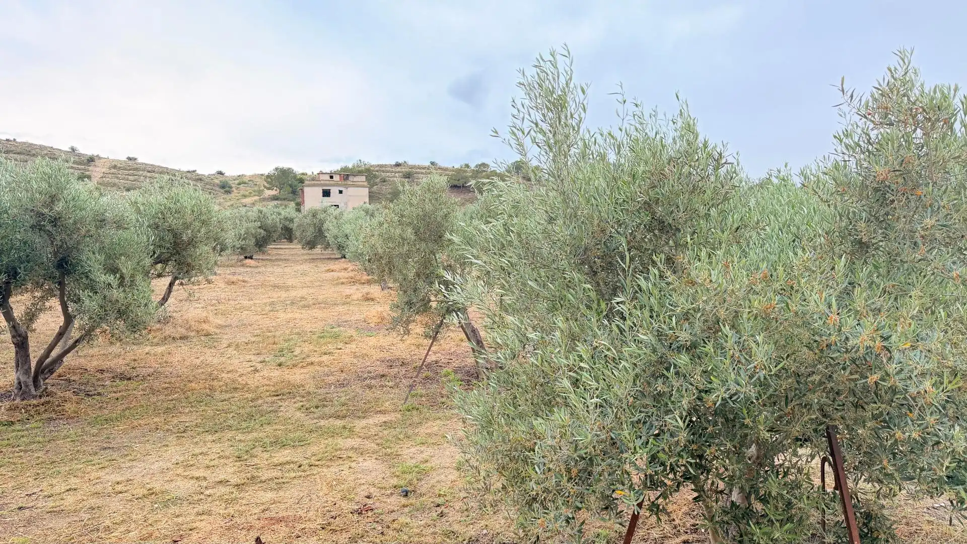 Houses for sale in Elche / Elx  with Heating, Private garden and Storage room