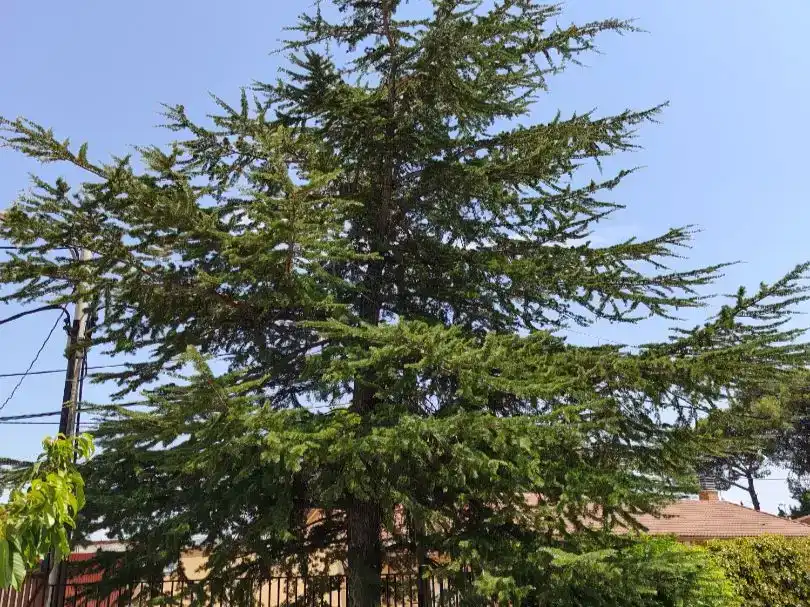 Jardí de Pis en venda en Botorrita amb Aire condicionat, Jardí privat i Traster
