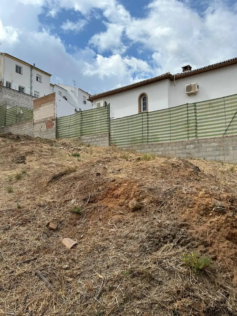 Lands and plots for sale in Fuentemora, imagen 5