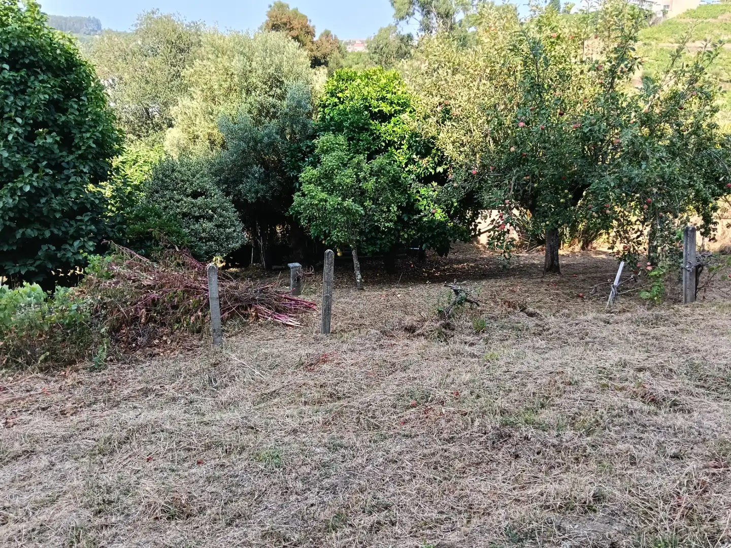 Maison avec jardin à vendre à Rúa Saavedra Meneses 87, imagen 11