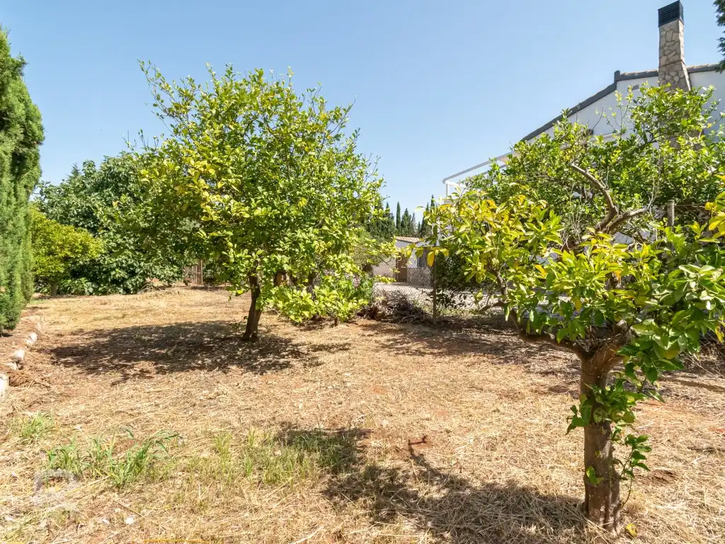 Casa o xalet en venda en Gandia