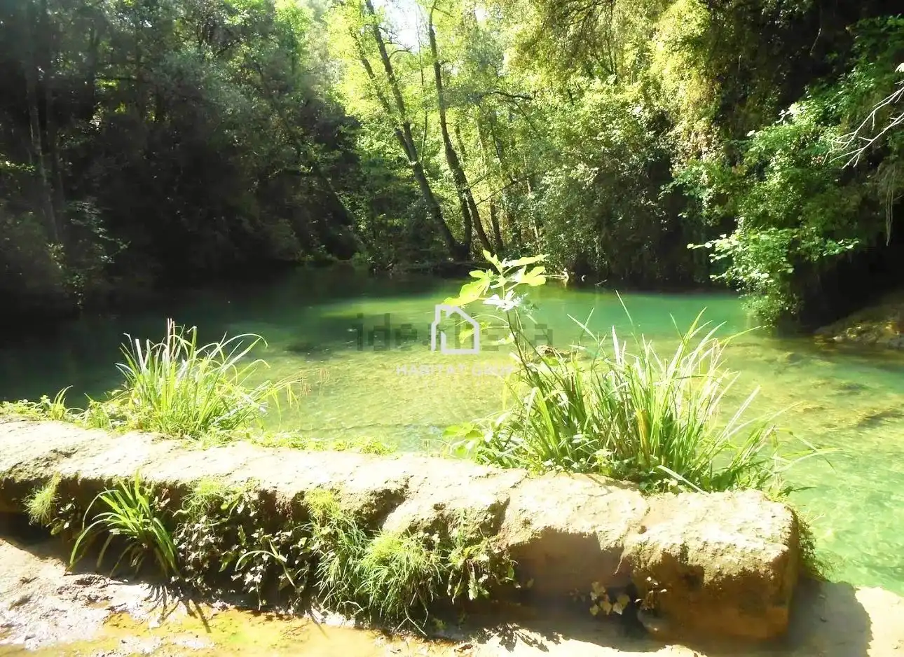 Vista exterior de Casa o xalet en venda en Santa Pau amb Calefacció, Jardí privat i Terrassa