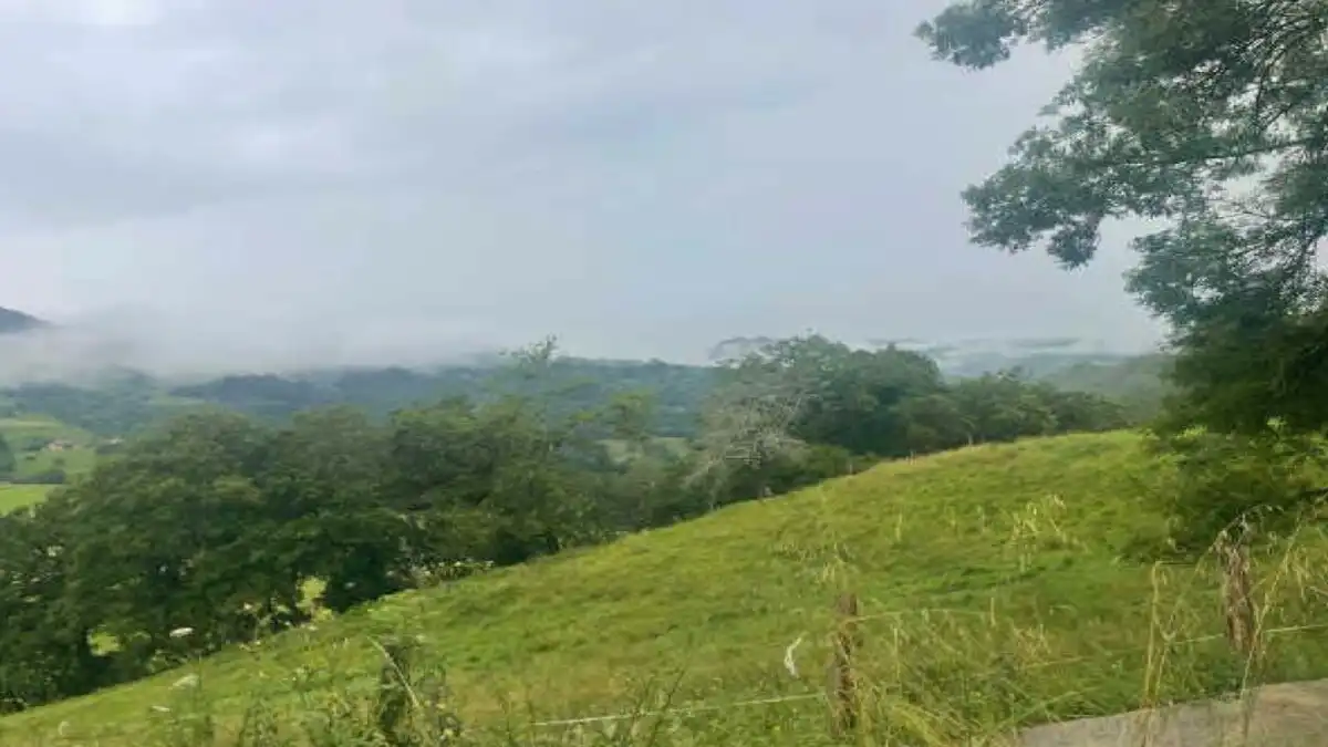 Terrenys i solars en venda a PIÑOLETA, PG. 137, imagen 4