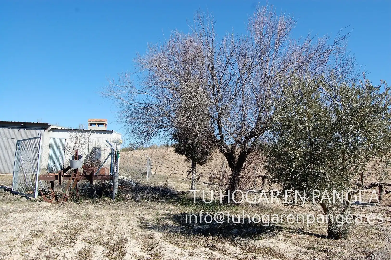 Rural land for sale in El Álamo, imagen 14