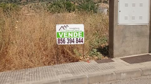 VENTA SOLAR EN EL BOSQUE, immagine 2