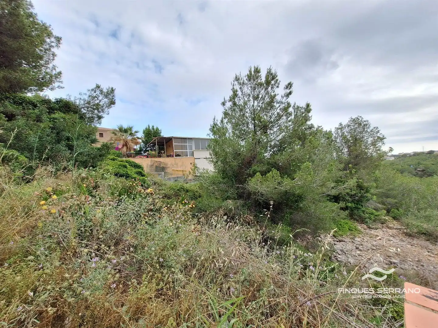 Terreno rustico in vendita a MEDOL, imagen 2