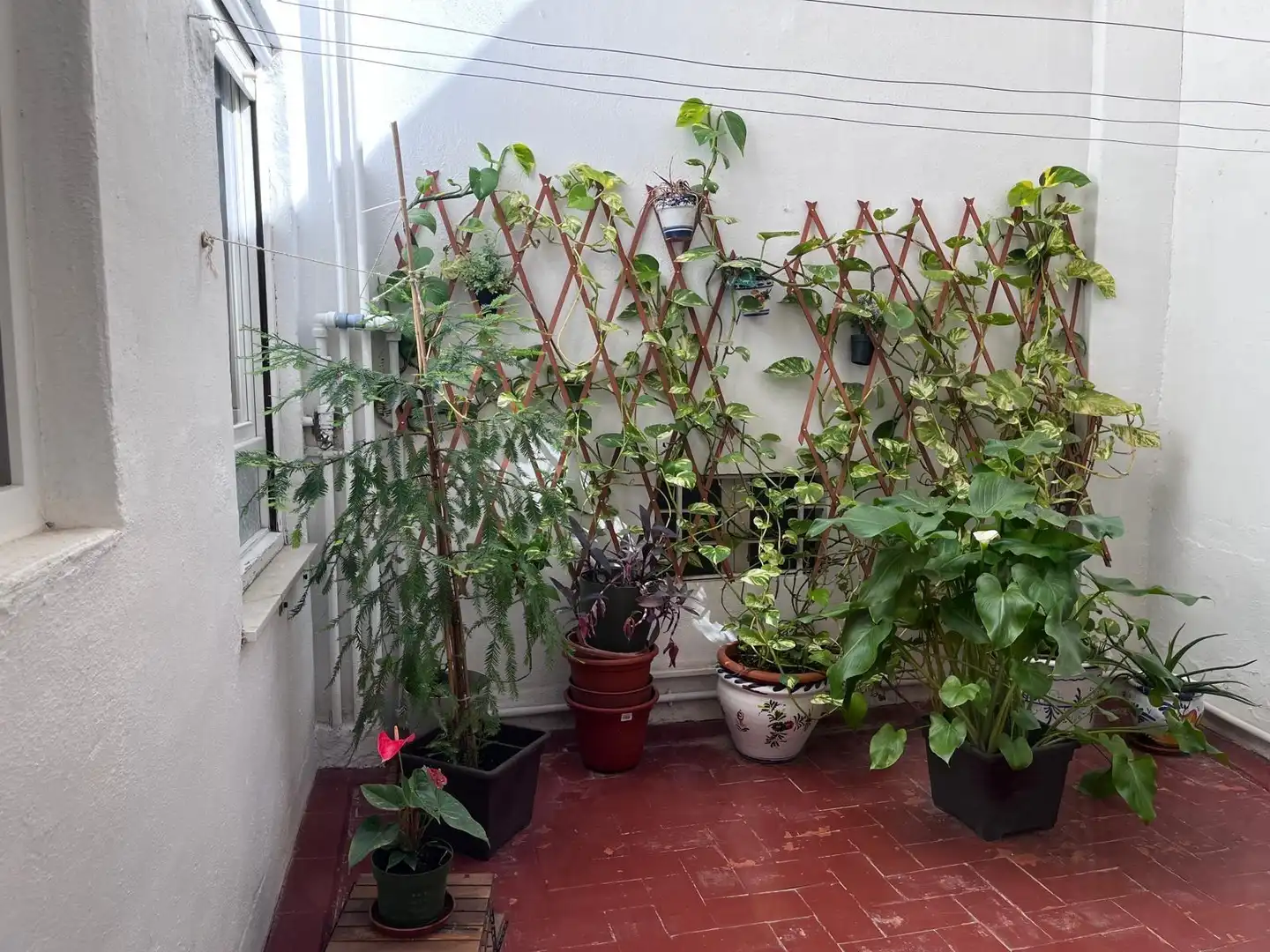 Terraza de Piso en venta en Elche / Elx con Aire acondicionado, Trastero y Amueblado