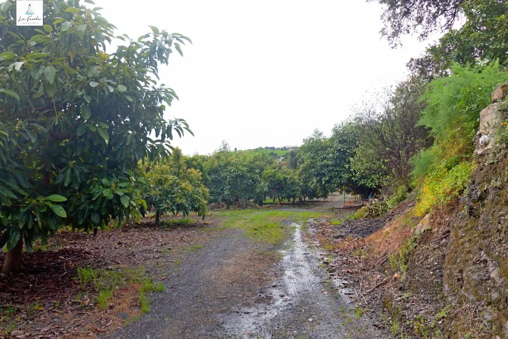Casa o xalet en venda en Carratraca amb Aire condicionat, Jardí privat i Terrassa