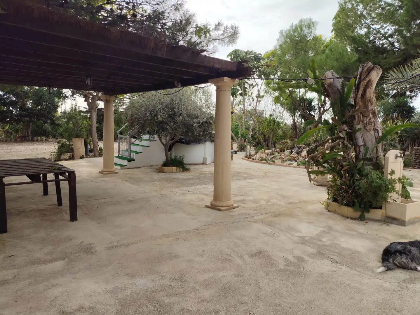 Terrassa de Casa o xalet en venda en Elche / Elx amb Jardí privat i Moblat