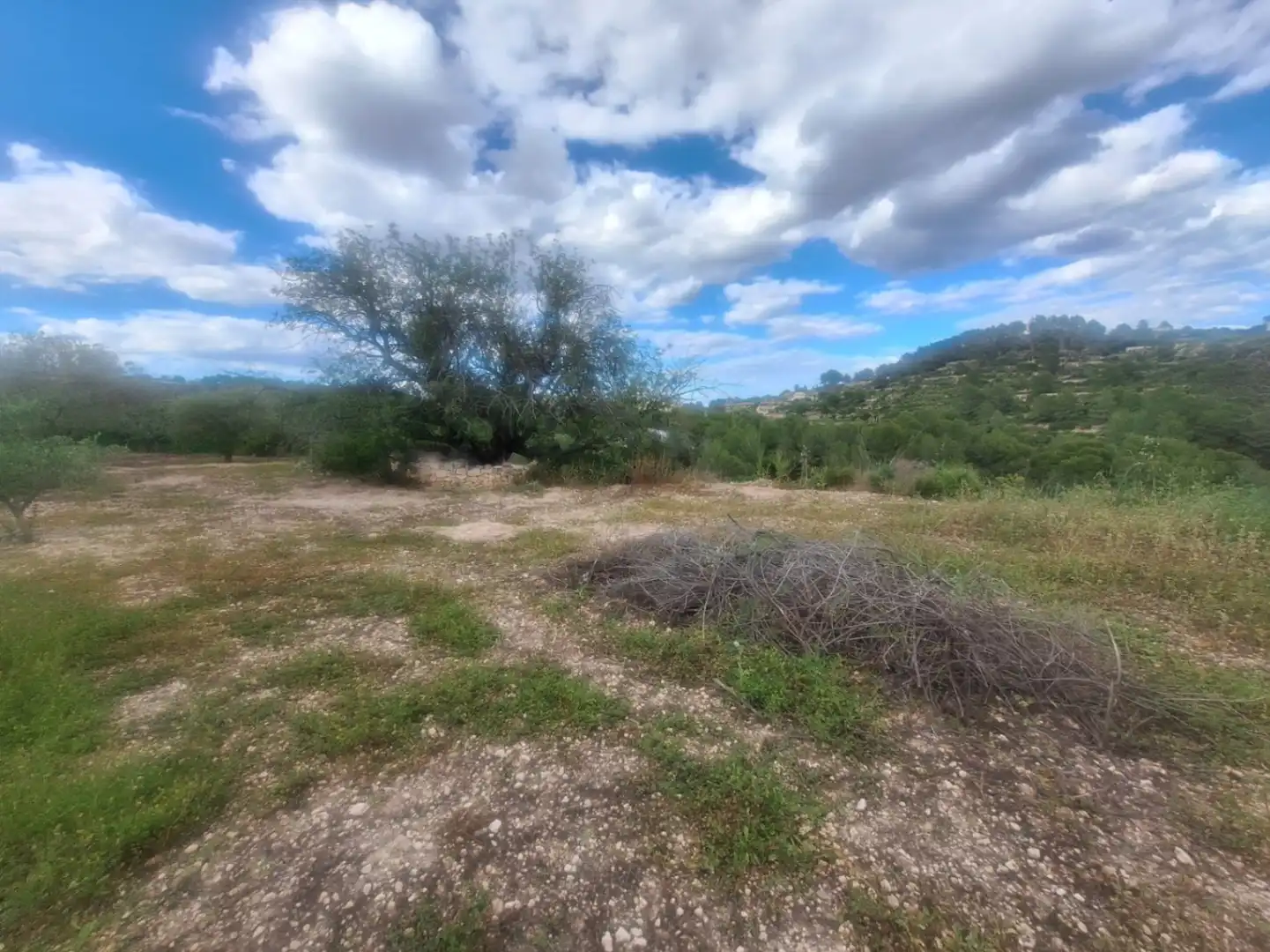 Casa rústica en venda a Benissa pueblo, imagen 5