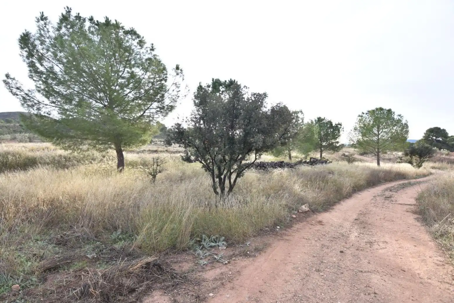 Casa o chalet en venta en Liétor - casa de la rambla Lietor, Liétor
