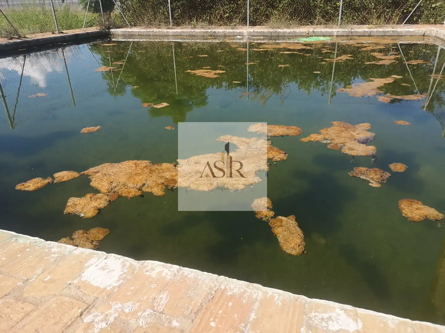 Schwimmbecken von Residential zum Verkauf in Carcaixent, Valencia